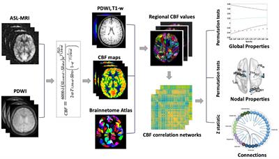A 3D pseudo-continuous arterial spin labeling study of altered cerebral blood flow correlation networks in mild cognitive impairment and Alzheimer's disease